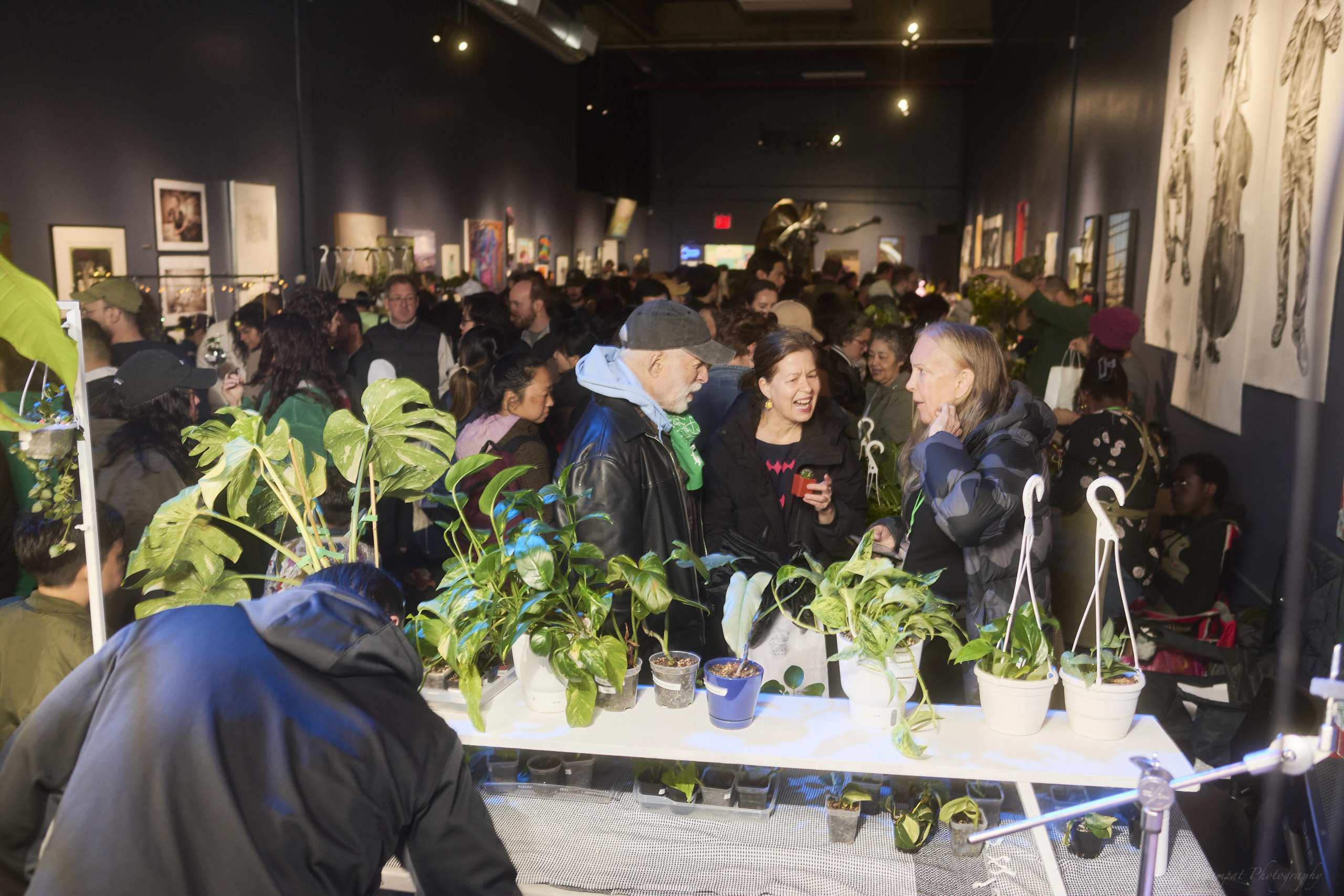 Plant Market April 2026 by Chris Gampat 145