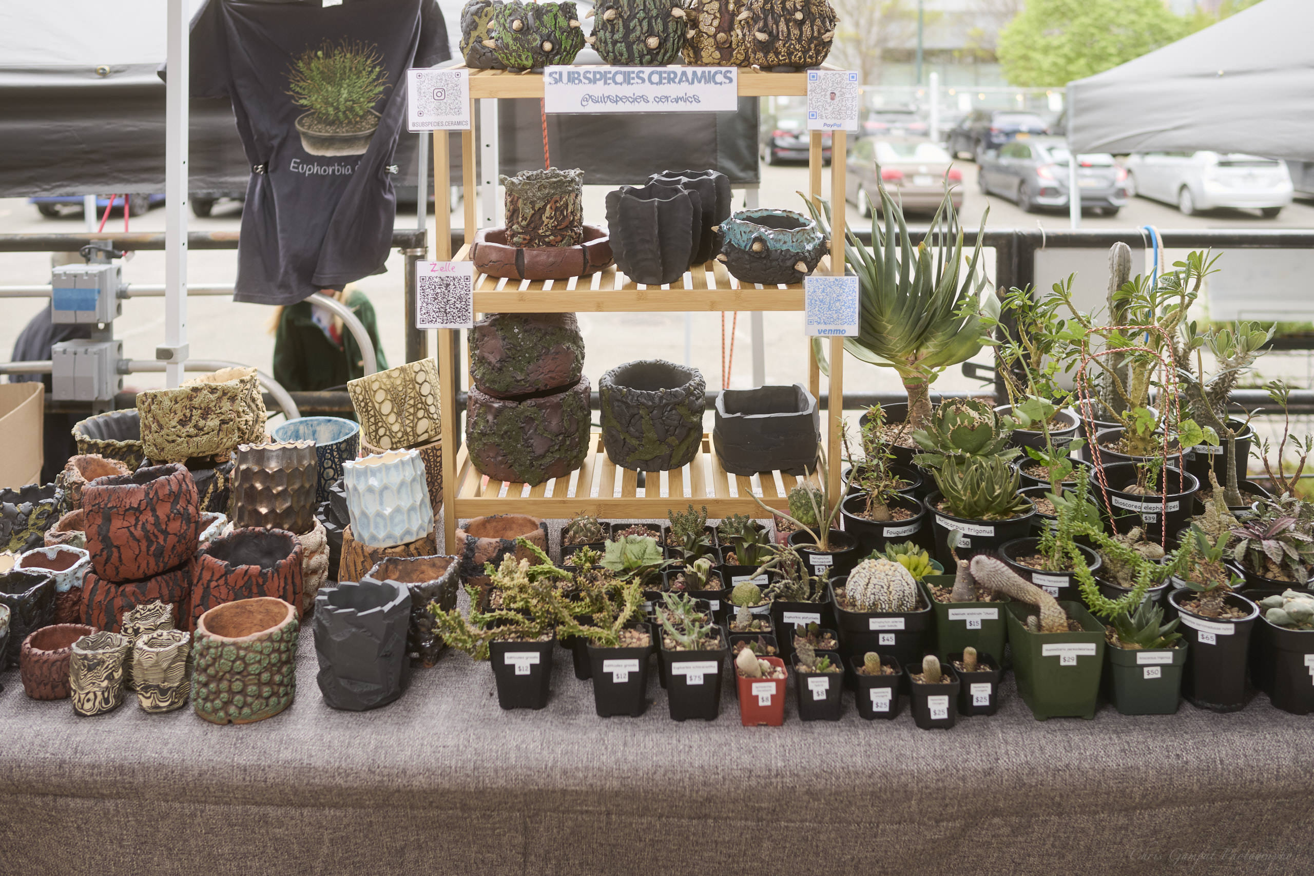 Plant Market April 2026 by Chris Gampat 1