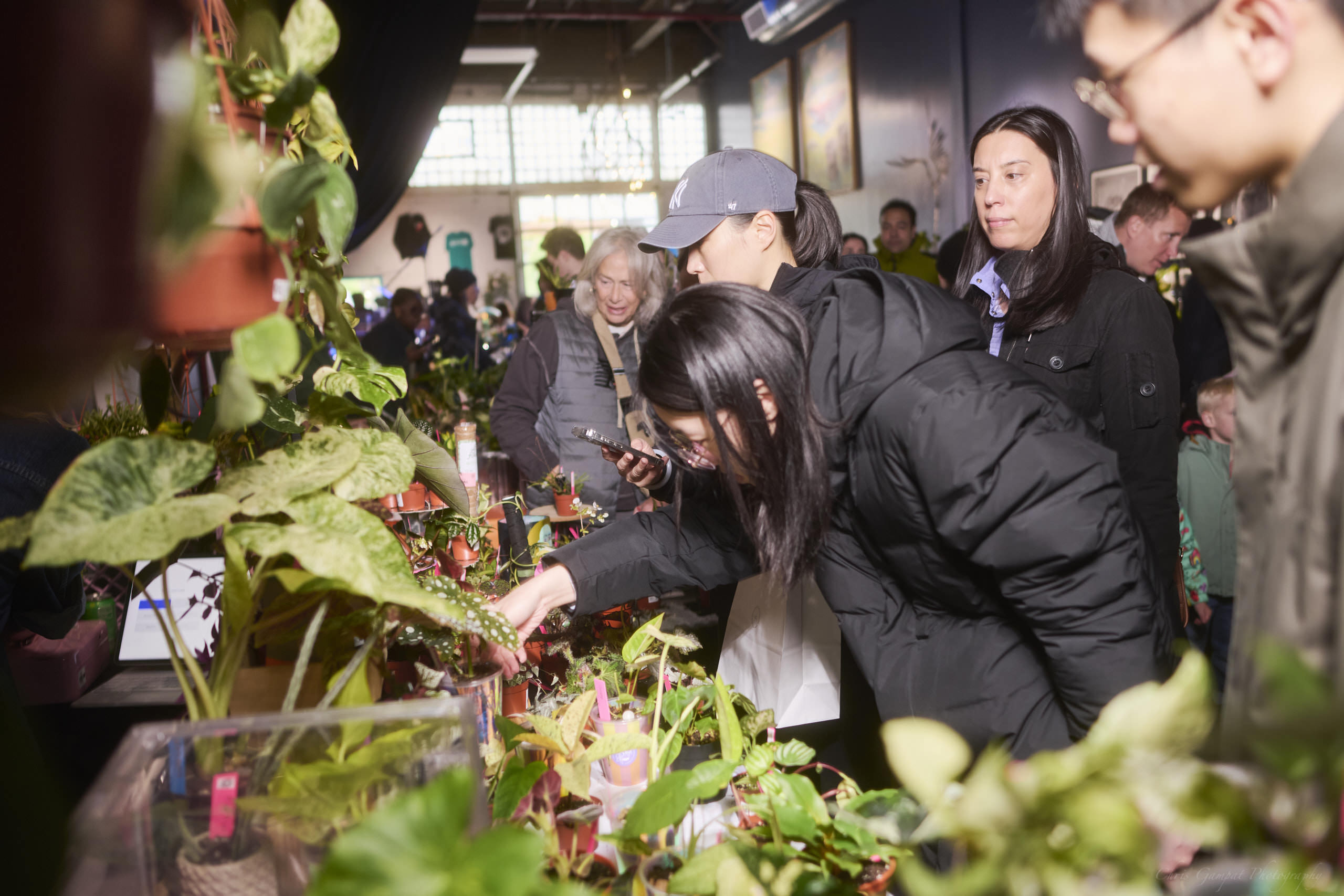 Plant Market April 2026 by Chris Gampat 297