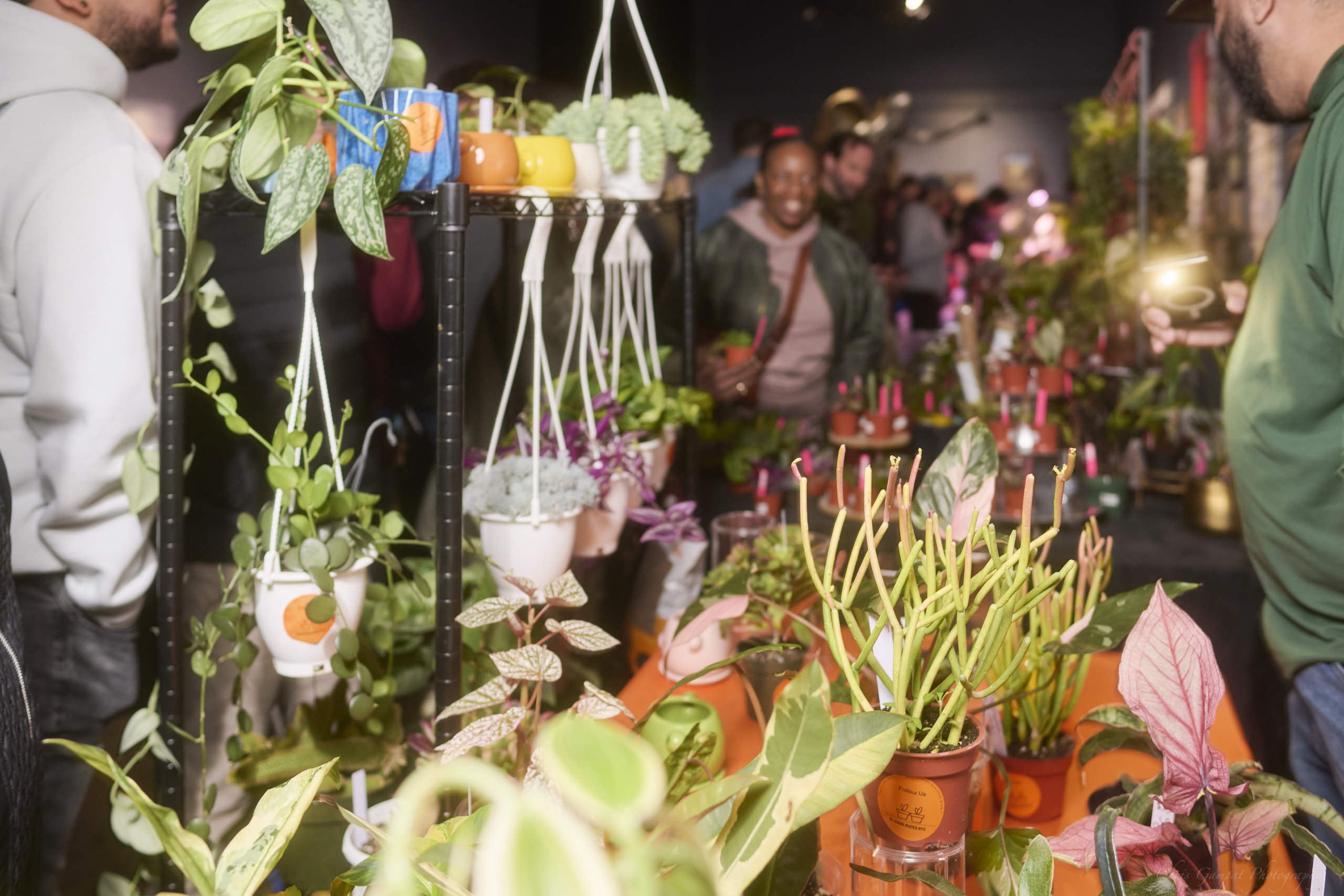 Plant Market April 2026 by Chris Gampat 66