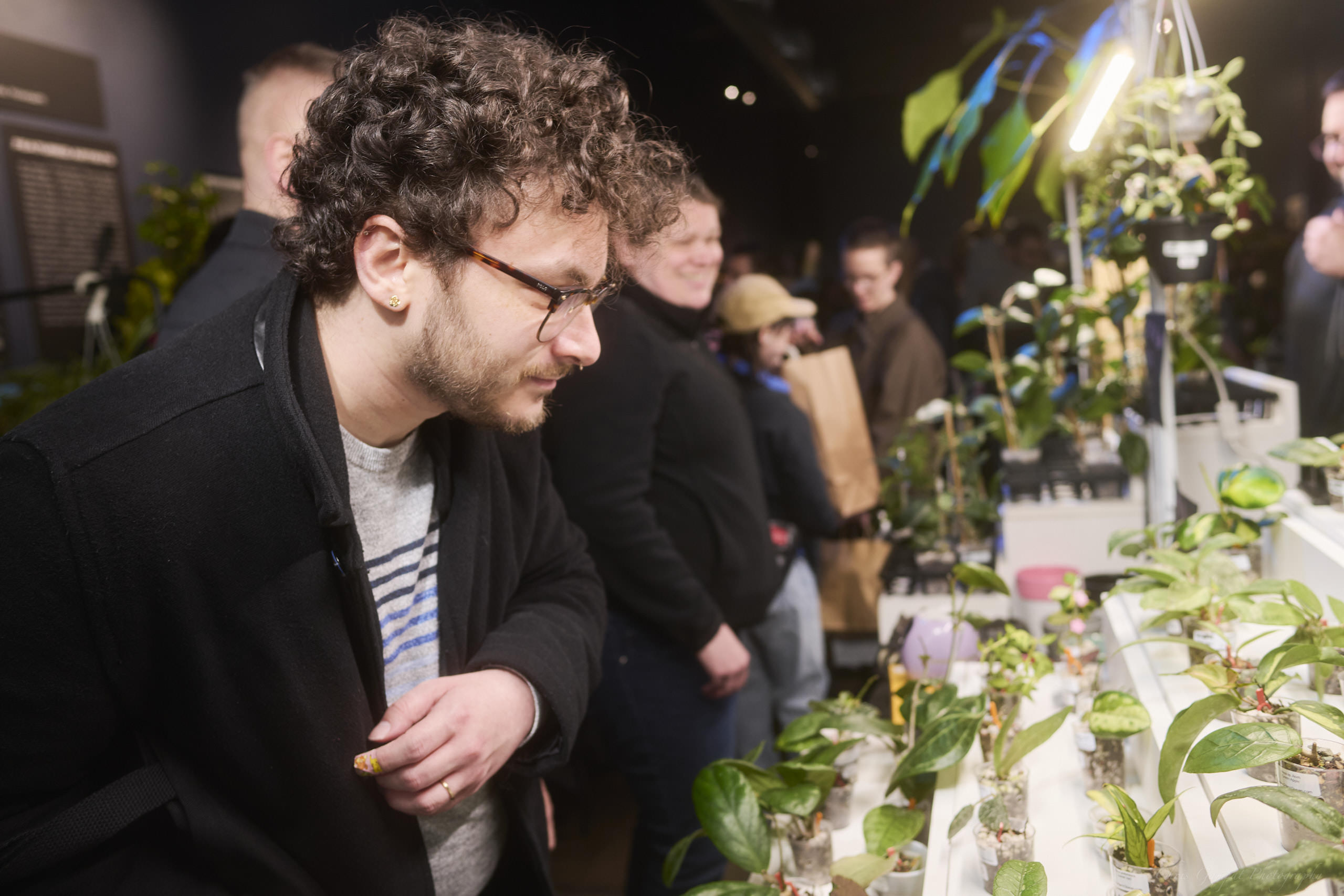 Plant Market April 2026 by Chris Gampat 207