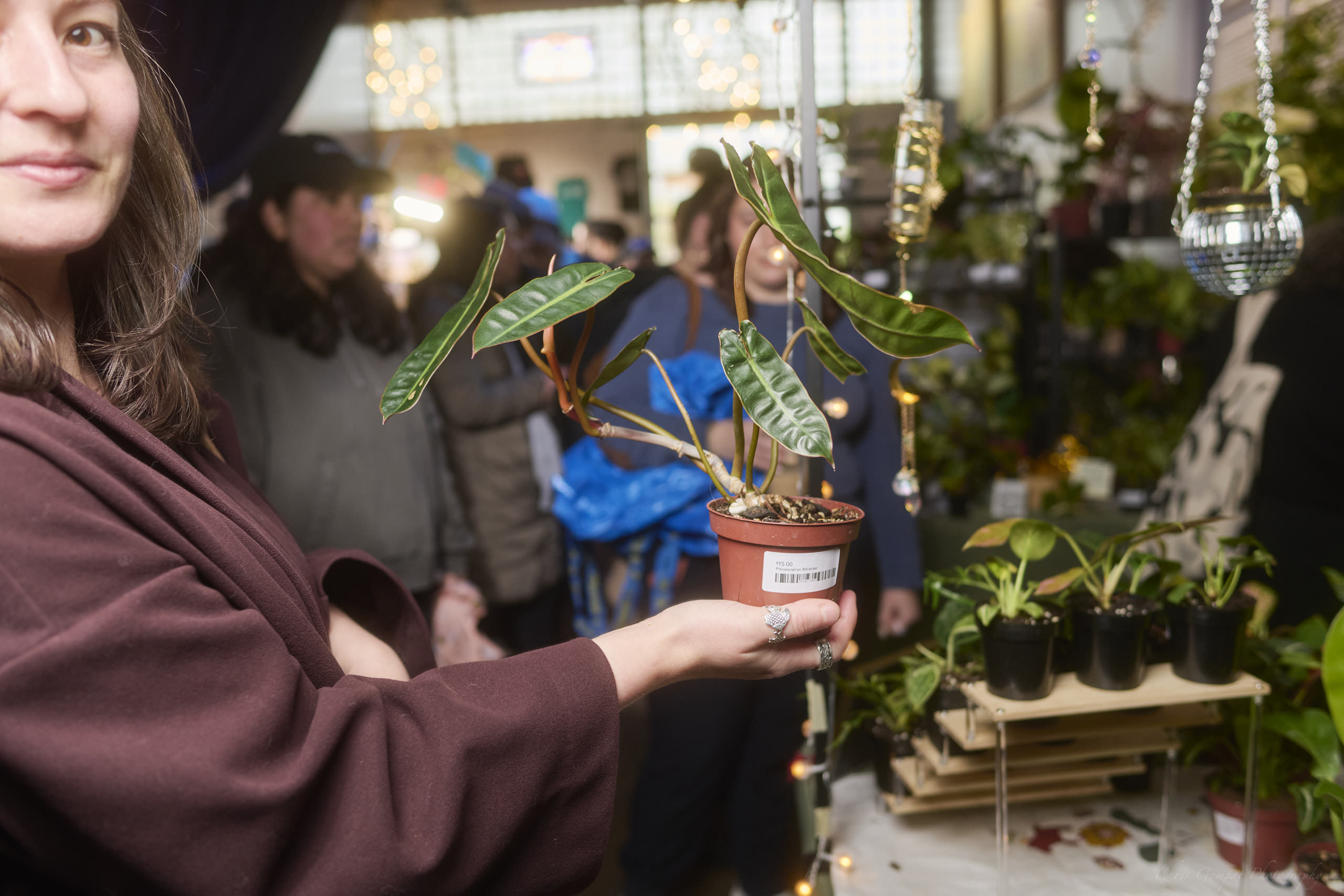 Plant Market April 2026 by Chris Gampat 44